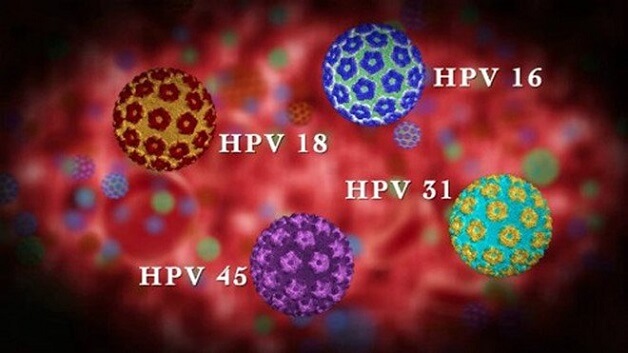 Các chủng của virus HPV