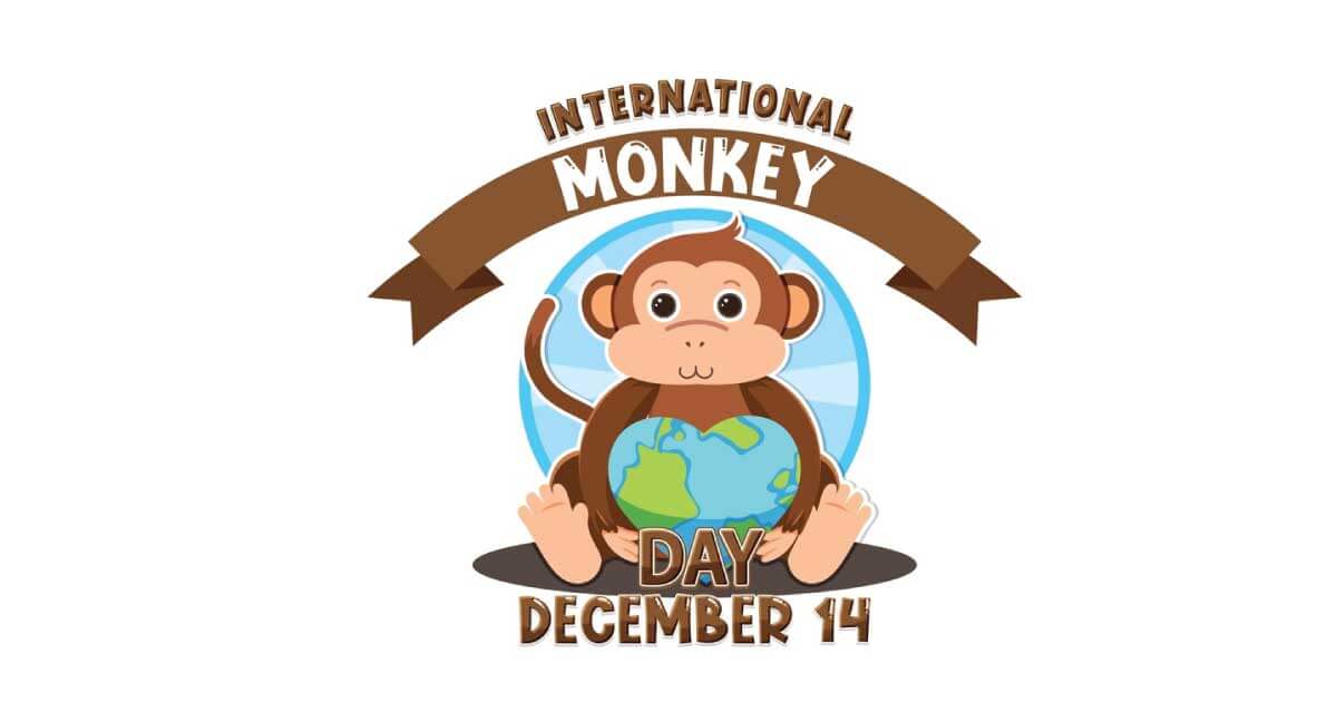 14 tháng 12 là ngày Monkey Day