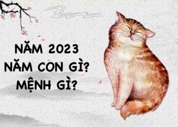 Năm 2023 là năm con gì