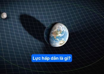 Lực hấp dẫn là gì?