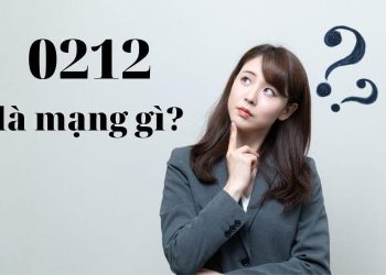 0212 là mạng gì?