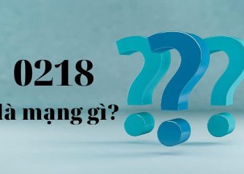 0218 là mạng gì?