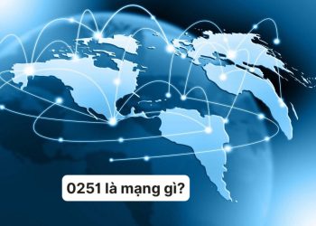 0251 là mạng gì?