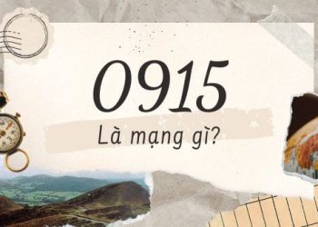 0915 là mạng gì?