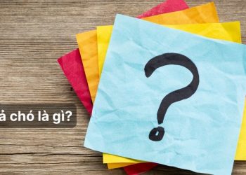 Bả chó là gì?