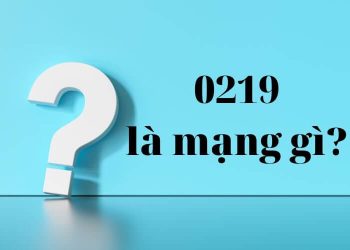 0219 là mạng gì?