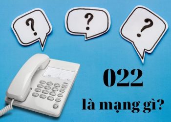 0222 là mạng gì?