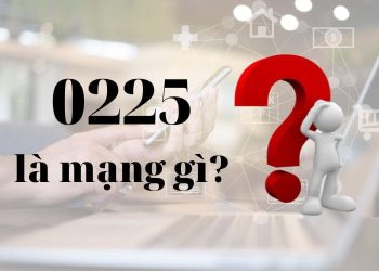 0225 là mạng gì?