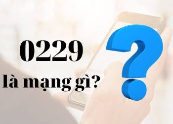 0229 là mạng gì?