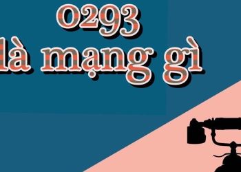 0293 la mạng gì?