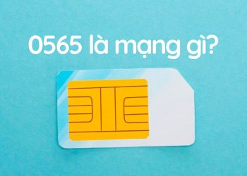 0565 là mạng gì?