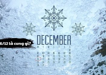 16/12 là cung gì?