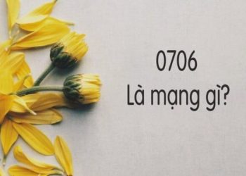 Đầu số 0706 là mạng gì?