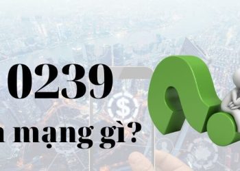 0239 là mạng gì?