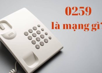 0259 là mạng gì?