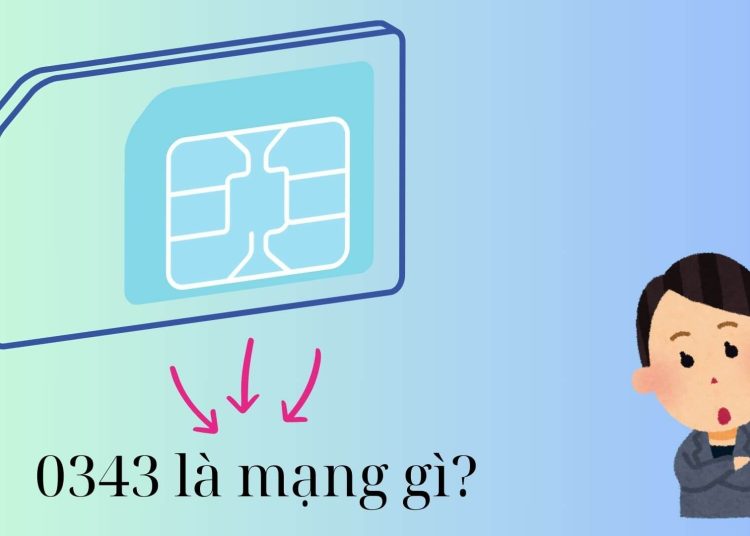 0343 là mạng gì?