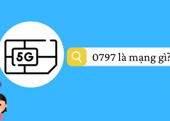 0979 là mạng gì?