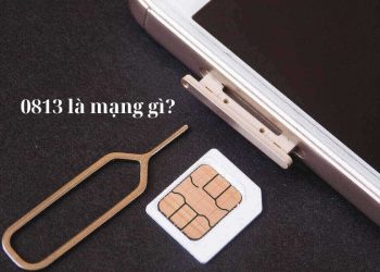 0813 là mạng gì?