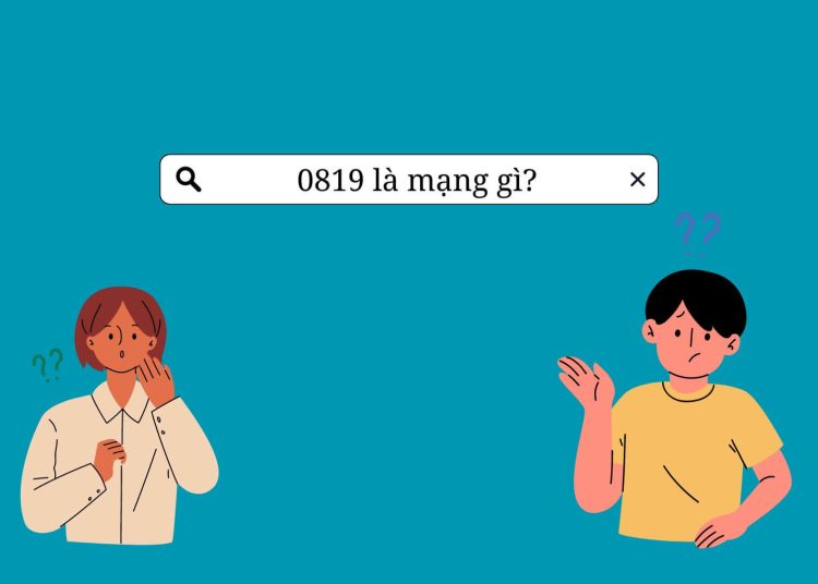 0819 là mạng gì?