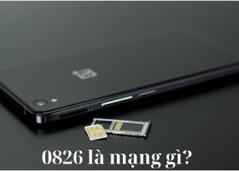 0826 là mạng gì?