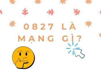 0827 là mạng gì?