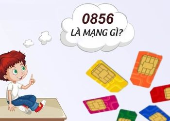 0856 là mạng gì?