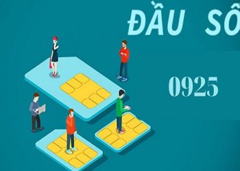 0925 là mạng gì?