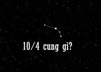 10/4 cung gì?