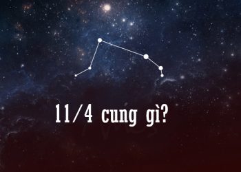 11/4 cung gì?