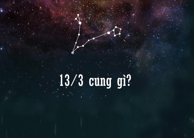 13/3 cung gì?