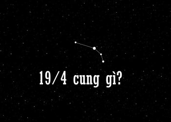 1/4 cung gì?