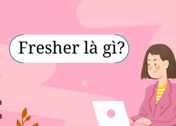 Fresher là gi?