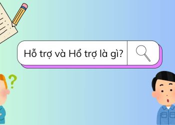 Hỗ trợ và Hổ trợ là gì?