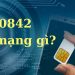 0842 là mạng gì?