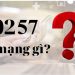 0257 là mạng gì?