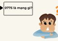 0775 là mạng gì?