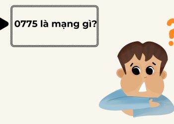 0775 là mạng gì?