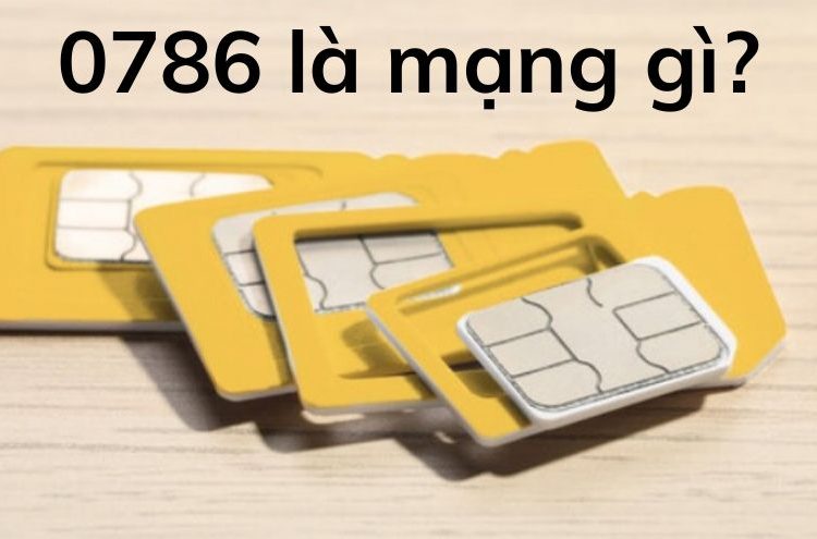 0786 là mạng gì?