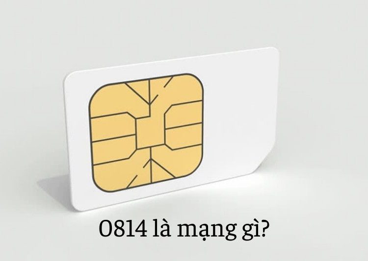 0814 là mạng gì?