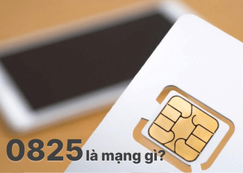 0825 là mạng gì?