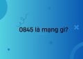 0845 là mạng gì?