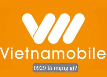 0929 là mạng gì?