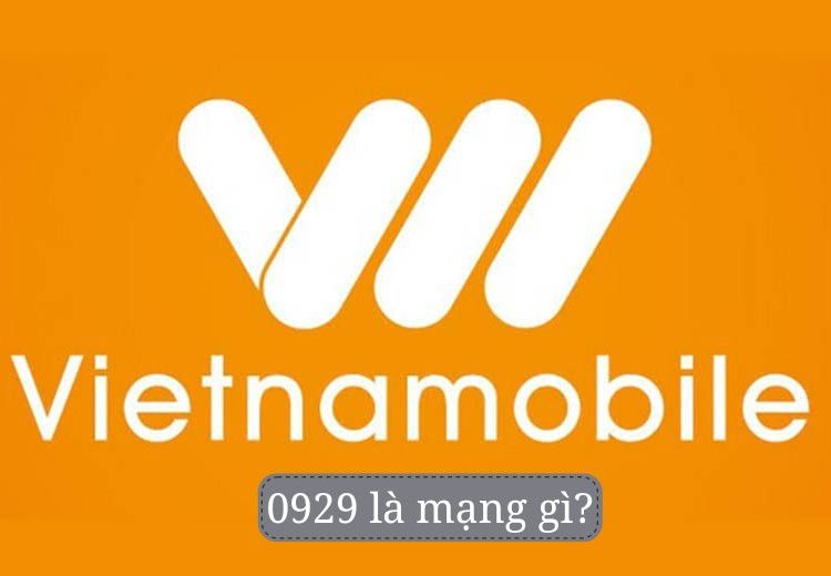 0929 là mạng gì?