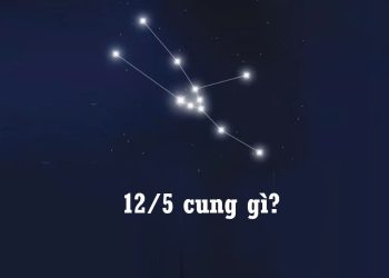 12/5 cung gì?