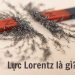 Lực Lorentz là gì?