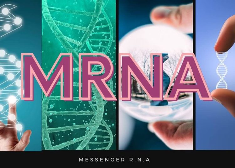 mRNA là gì?