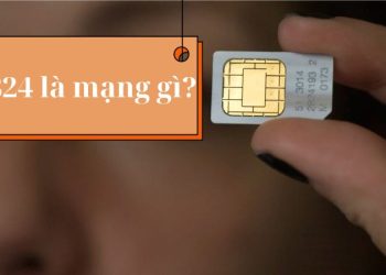 0824 là mạng gì?