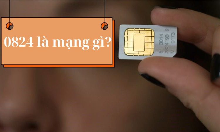 0824 là mạng gì?