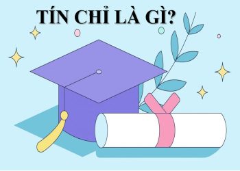 Tín chỉ là gì?