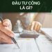 Đầu tư công là gì?